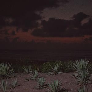 老师扒下内裤让我爽了一夜视频网站
